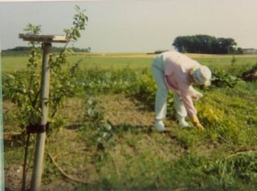 Ikkenavngivet30